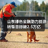 山东绿色金融助力能源转型目标破2.5万亿(图2) 山东绿色金融助力能源转型目标破2.5万亿(图2)