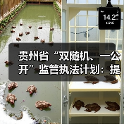 贵州省“双随机、一公开”监管执法计划:提升效能减负企业(图4) 贵州省“双随机、一公开”监管执法计划:提升效能减负企业(图4)