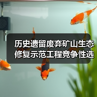 历史遗留废弃矿山生态修复示范工程竞争性选拔结果出炉 20项目入选