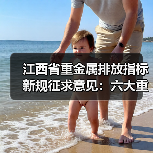 江西省重金属排放指标新规征求意见:六大重点行业管控升级(图4) 江西省重金属排放指标新规征求意见:六大重点行业管控升级(图4)