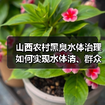 山西农村黑臭水体治理如何实现水体清、群众满意？（图2）