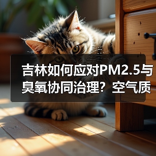 吉林如何应对PM2.5与臭氧协同治理?空气质量改善新举措(图4) 吉林如何应对PM2.5与臭氧协同治理?空气质量改善新举措(图4)