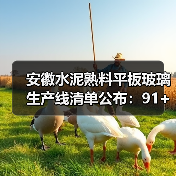 安徽水泥熟料平板玻璃生产线清单公布：91+15条