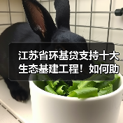 江苏省环基贷支持十大生态基建工程!如何助力环保发展?(图3) 江苏省环基贷支持十大生态基建工程!如何助力环保发展?(图3)