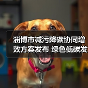 淄博市减污降碳协同增效方案发布 绿色低碳发展全面提速(图2) 淄博市减污降碳协同增效方案发布 绿色低碳发展全面提速(图2)
