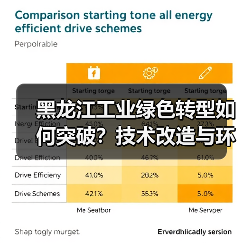 黑龙江工业绿色转型如何突破?技术改造与环保行动关键解析(图2) 黑龙江工业绿色转型如何突破?技术改造与环保行动关键解析(图2)