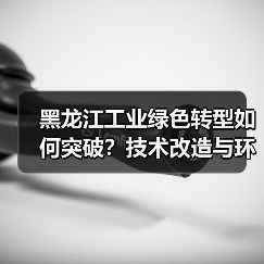 黑龙江工业绿色转型如何突破?技术改造与环保行动关键解析(图3) 黑龙江工业绿色转型如何突破?技术改造与环保行动关键解析(图3)
