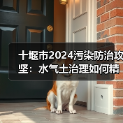 十堰市2024污染防治攻坚:水气土治理如何精准落地? 十堰市2024污染防治攻坚:水气土治理如何精准落地?