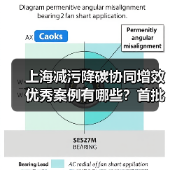 上海减污降碳协同增效优秀案例有哪些?首批30项目解析 上海减污降碳协同增效优秀案例有哪些?首批30项目解析