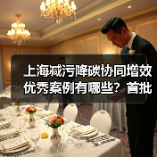上海减污降碳协同增效优秀案例有哪些？首批30项目解析（图2）