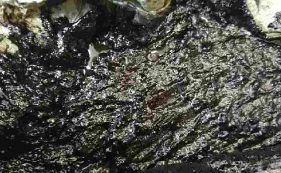 行星齿轮传动对石化含油污泥处理效率有何突破性影响？