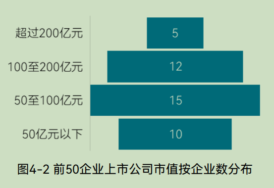 2025中国环境企业营收前50发展报告（下）(图18)